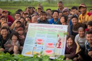 义乌西瓜扶贫补贴申请指南，政策红利赋能乡村振兴
