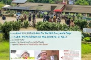 农村食品福利补贴申请指南，惠农政策暖人心，申请流程早知道