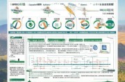 宜宾专利补贴申请全攻略，从政策解读到实操指南