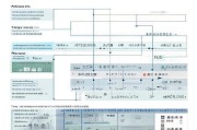 新乡市技术转移补贴申请指南，政策解读、流程详解与实操建议