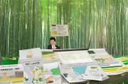 毛竹虫害补贴申请指南，政策解读与实操全攻略