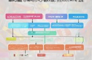 龙华新区租房补贴申请全攻略，条件、流程、材料及注意事项
