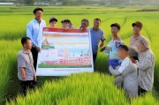 广西农户种粮补贴申请指南，政策红利直达田间，惠农政策助农增收