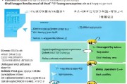 中级经济师补贴申请全攻略，条件、流程与注意事项