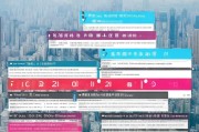 深圳车牌摇号申请全攻略，从准备到成功的每一步