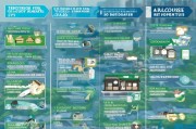 东莞社区补贴申请全攻略，条件、流程、材料一文读懂