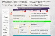 陕西创业补贴申请全攻略，政策解读、流程详解与实用指南