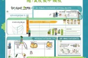 深圳宝安社保补贴申请指南，条件、流程、材料全解析