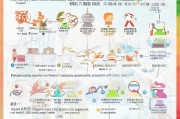 深圳罗湖创业补贴申请全攻略，政策解读、条件流程与实操指南