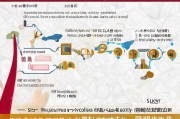 南京租房补贴变更申请全攻略，政策解读、流程指引与注意事项
