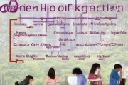 港中文申请全攻略，从准备到录取的每一步
