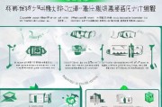 重庆会计人员补贴申请全流程指南，条件、步骤与注意事项