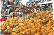 惠州卤鹅产业迎政策红利，补贴申请全攻略与产业发展新机遇
