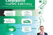 企业补贴申请全攻略，从政策解读到资金到账的完整指南