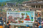 整村改造补贴申请，政策赋能乡村振兴的民生工程