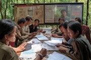 林下养鸡补贴申请全攻略，政策解读、流程详解与成功案例
