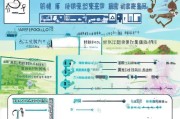 青岛老年用餐补贴申请全攻略，政策解读、流程指南与注意事项