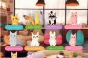 猫咖获客秘籍，9个精准引流策略让你的猫咖爆满！