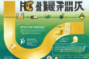 延缓退休申请补贴全指南，条件、流程与注意事项