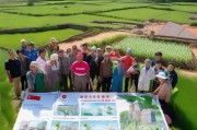 乡镇大棚补贴申请全攻略，政策红利直达田间，助力乡村产业振兴