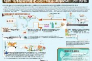绍兴外卖补贴申请全攻略，政策解读、流程指引与注意事项