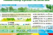 南阳生态补贴申请全攻略，政策解读、流程指引与注意事项