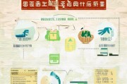 重庆社保补贴申请全攻略，条件、流程、注意事项详解