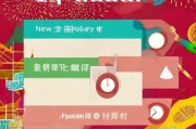 新年补贴申请指南，政策解读、流程详解与注意事项