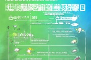 比亚迪补贴申请全指南，条件、流程、注意事项详解