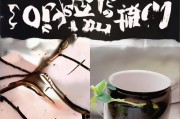 下面，我将为你撰写一个关于网上获客介绍怎么写好的文章标题，并提供不少于817字的文章内容