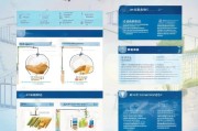 合肥冷链食品补贴申请指南，政策解读、申报流程与注意事项