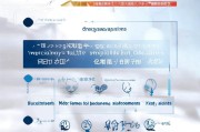 德安市临时补贴申请指南，政策解读、申请流程与注意事项