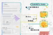 湖南疫苗补贴申请全攻略，条件、流程、注意事项详解